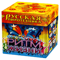 Русская пиротехника Пенза